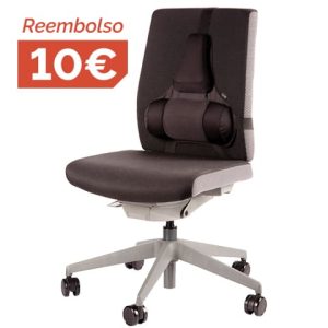 Respaldo Lumbar Ultimate Professional Series Respaldo Lumbar Ultimate Professional Series